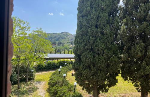 Antica Colombaia - Foto 15