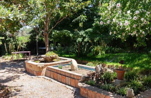 Viña Chica - Foto 67