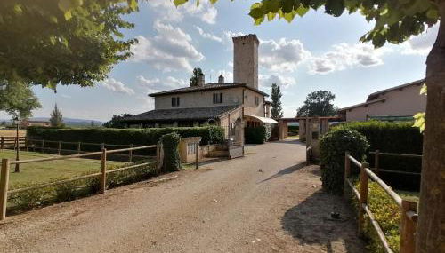 Pietra Rosa - Foto 4