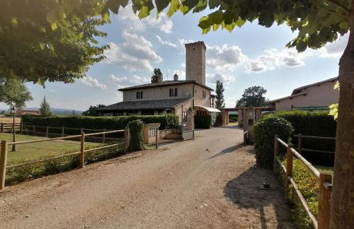 Pietra Rosa - Foto 4