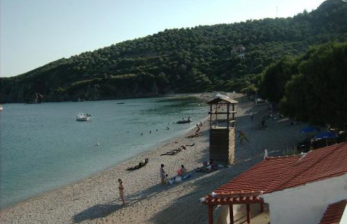 Elena Studios - Photo 27