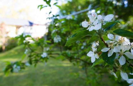 Dünenblick 02 - Foto 21