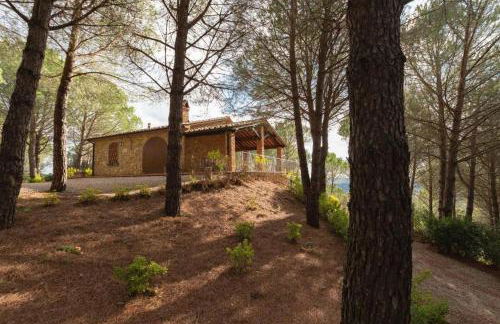 Le Pinetine - Foto 26