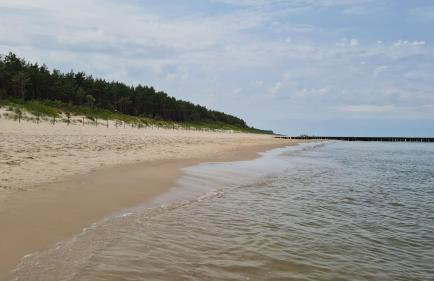 Czarna Perła - Foto 26