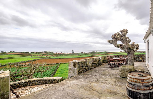 Casa dos Cal os in S o Mateus da Calheta - Photo 19