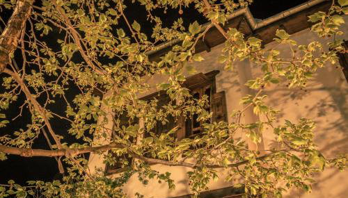 Villa Virginaki - Photo 2