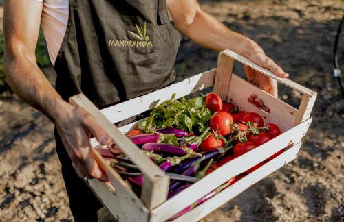 Azienda Agricola Mandranova - Foto 62