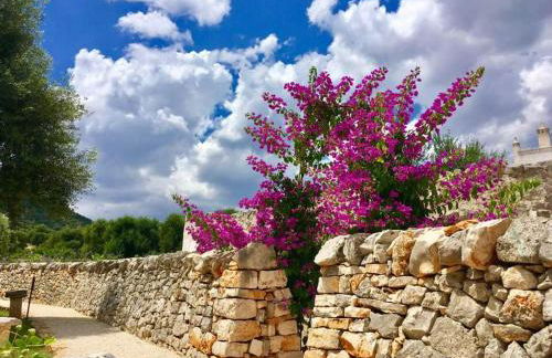 Masseria Parco della Grava - Foto 37