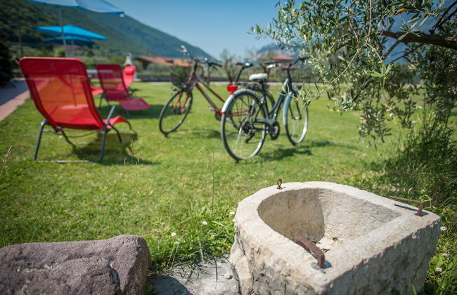 Agriturismo Trefrutti - Foto 17