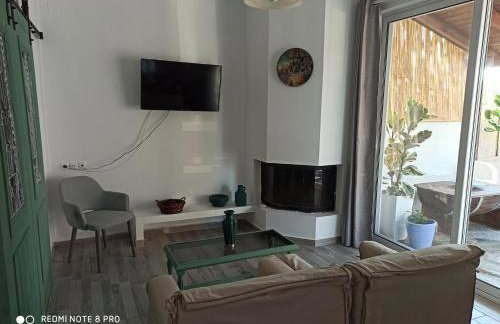 Cactus Home - Foto 7