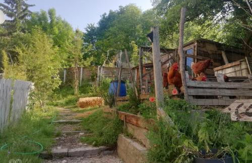 La Cabane des Trappeurs - Foto 49