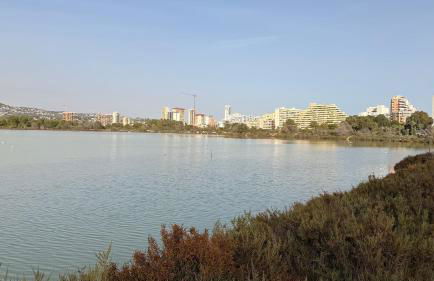 Abracadabra Calpe - Photo 74