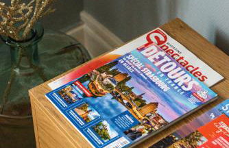 Appartement chaleureux Orangerie - Foto 12