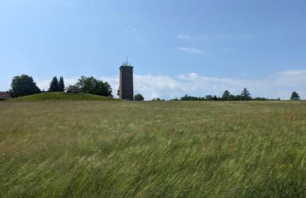 Waldhorn Dobel - Foto 67