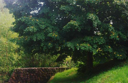 Apartamenty Agroturystyczne Papiernia Grill, Sauna & Jacuzzi - Foto 64