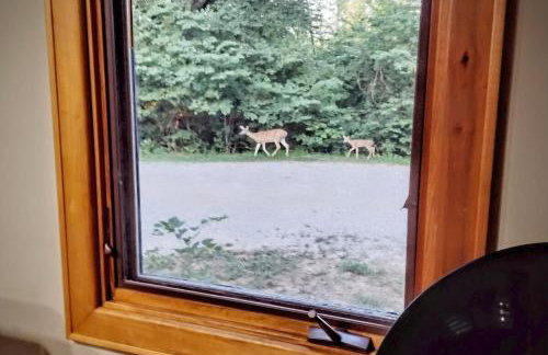 Fiddler on the Ridge-Woods, Wine and Wellness - Foto 7