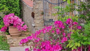 VILLA Castel del Monte PINOCCHIO story by COLLODI - Foto 4, Garden, Garden view