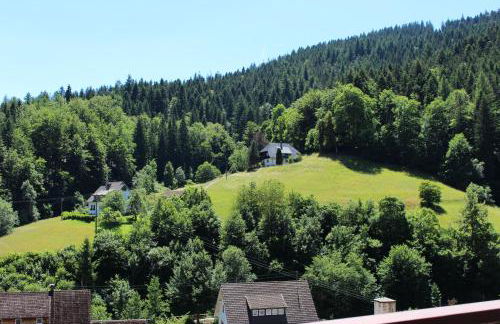 Ferienwohnung Schwarzwaldblick - Photo 16