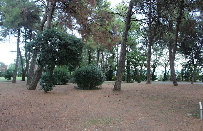 Locanda Strada Della Marina - Foto 17