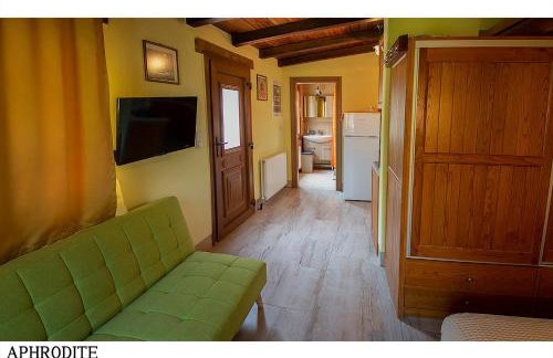 Medusa Gorgon - Photo 22