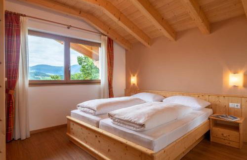 Residence Viktoria - Foto 60