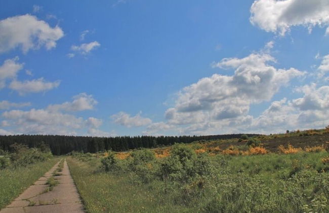 Scenic Villa Near Lake View - Photo 62