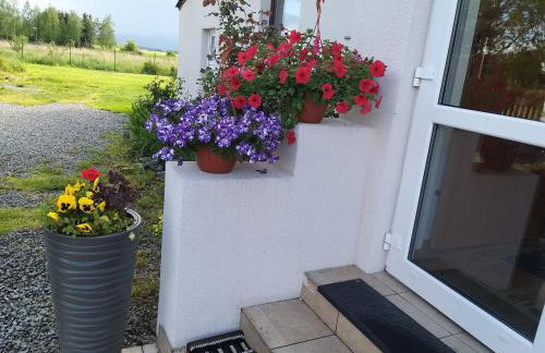 Agroturystyka "JAGAP" OAZA SPOKOJU - Foto 20