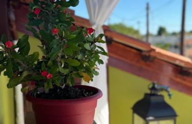 Takis' Attic - Foto 41