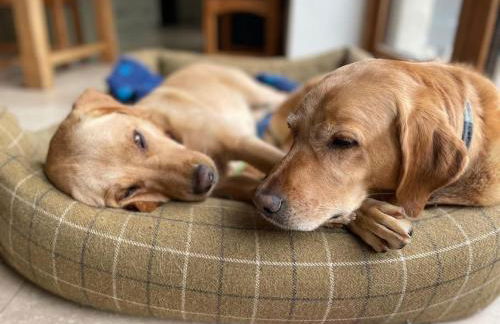 Grants Cottage, Brackley - Foto 25