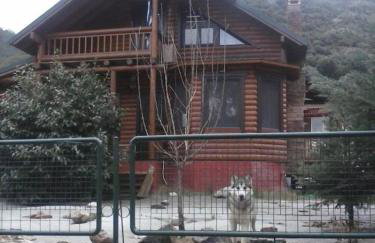 My Woodenfriend - Foto 13