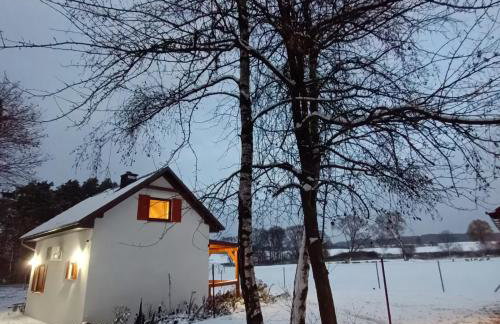 Smocze Ranczo 2 - Foto 55