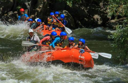 Redwood Retreat, Mountains, Adventure and Nature - Foto 29