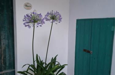 Palazzo Cosi-Forina - Foto 28