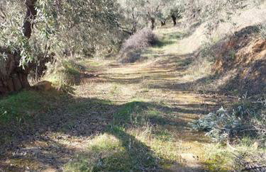 Little Bit Of Heaven - Foto 32