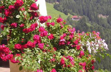 Haus Tasser - Photo 13