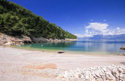 Robinson Bella - Foto 37