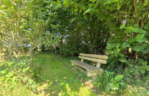 Ferienwohnung Marx - Urlaubstraum im Grünen Binnenland - Foto 20