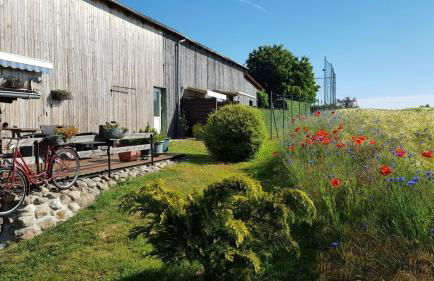 Pension zum Wiesengrund - Ferienwohnung - Photo 19