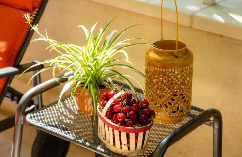 Mas Provençal Fanny - Foto 13