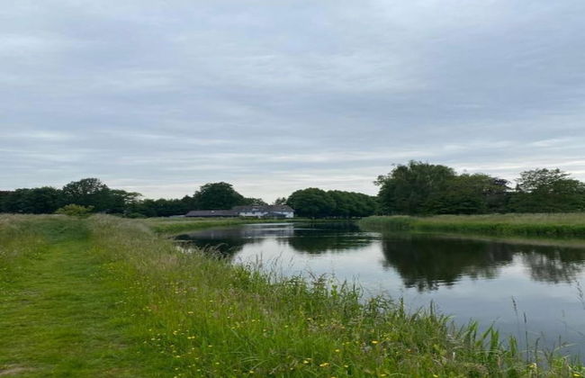 Modern Chalet With Nice Sliding Doors Near Lochem - Foto 23