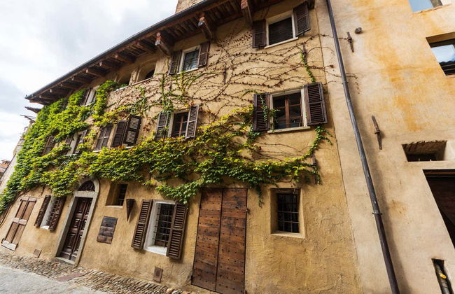 Monforte d'Alba Guided Tour - Photo 3