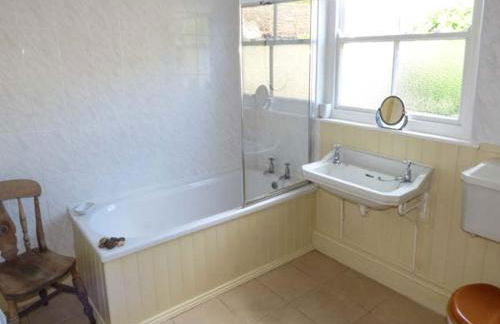 The Conifers - Foto 9