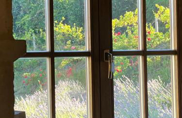 The Lion House - Foto 22