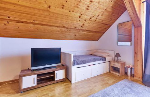 Beautiful Home In Budrovac With Wi-Fi - Foto 39