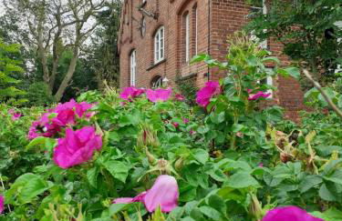 Ferienwohnung ehemalige Revierförsterei "uns Lütt" - Photo 13
