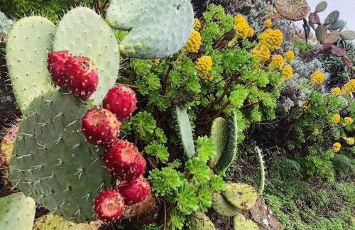 Appartamento per 2 persone con vista sulle Eolie Casa Spisidda "Lipari" - Foto 42
