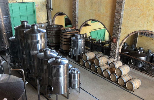 São Joaquim Guided Tour - Photo 6