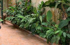 Casa de Alto Padrão em Guaecá 300m da praia - Foto 79