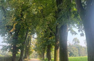 Comfortable apartment - Monza park with garage - Foto 23