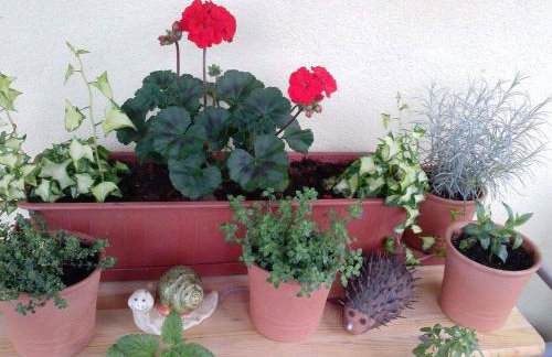 Kuća Za Odmor Barbara - Photo 53